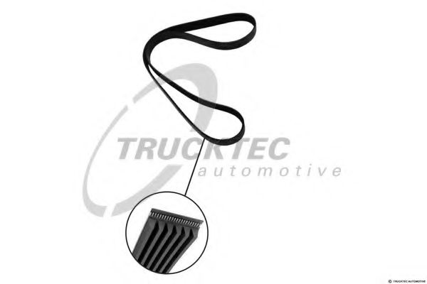 TRUCKTEC AUTOMOTIVE V-Ribbed Belts 02.19.227