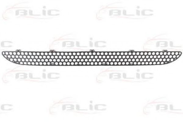 BLIC Trim/Protective Strip, radiator grille 6502-07-3560992P
